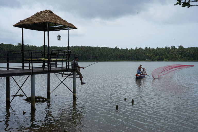 Others 3, BelleVue Homestay and Wellness Center, Kozhikode