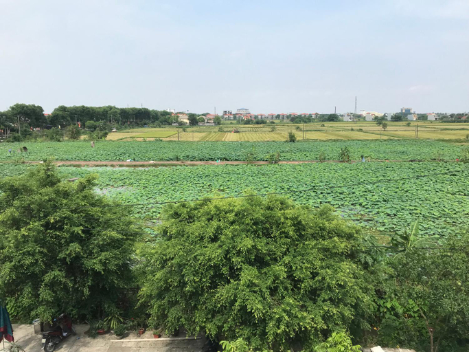 Others 4, Hai Le tam coc happy homestay, Hoa Lư