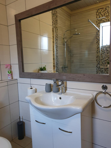 Bathroom, Aloe View Guesthouse, Siyanda