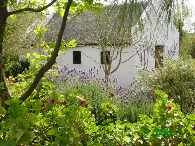 Exterior & Views 1, Temenos Retreat, Cape Winelands