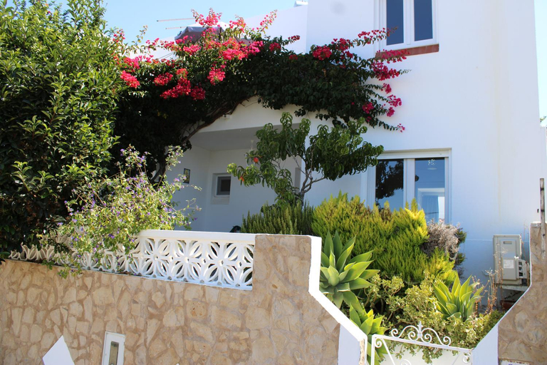 Others 4, Casa Colorida, Lagoa