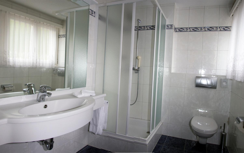 Bathroom, Hotel Alpha, Visp