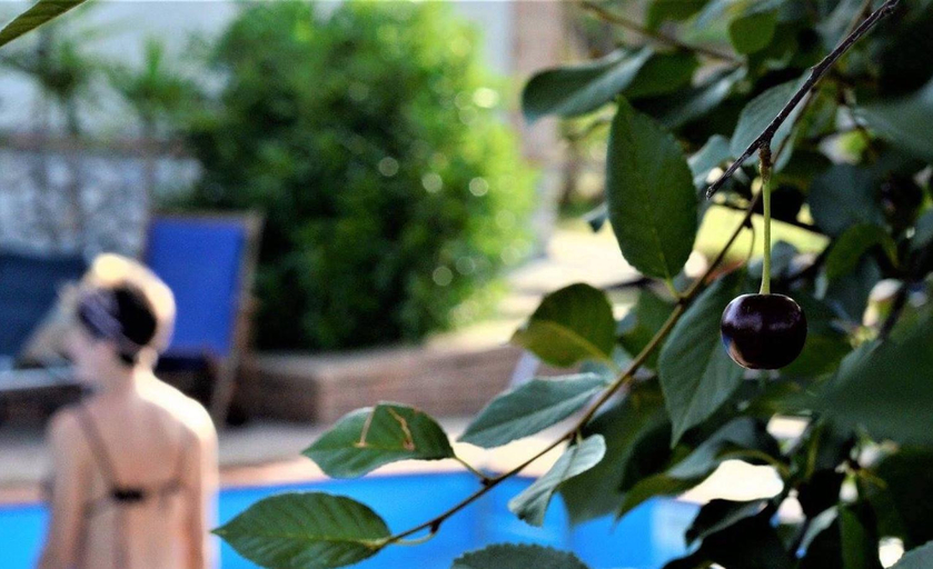 Others 4, Residence Cassiodoro, Catanzaro