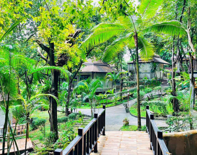 Scenery 8