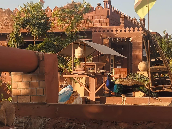 Jakhira Heritage Village Home Stay , Sajara, Jodhpur