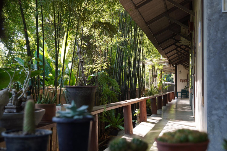 Others 3, Wanmai House, Muang Chiang Mai