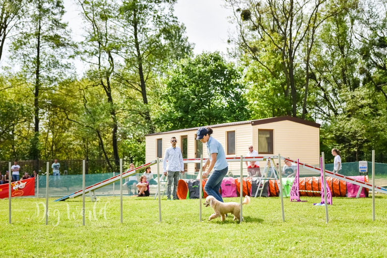 Attractions, Route E58 - Camp Kosice, Košice IV