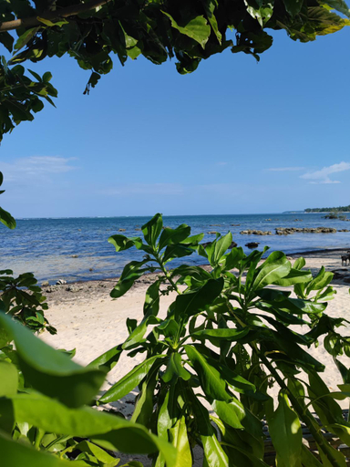 Others 2, Daluyong Beach Resort, General Luna