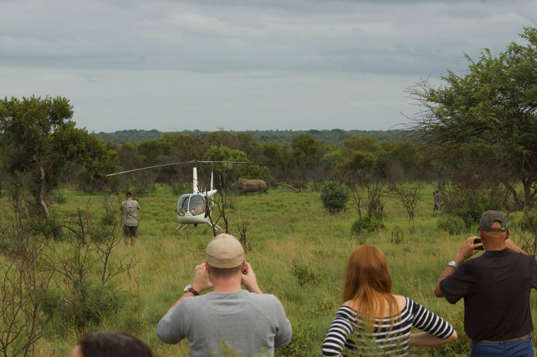 Others 4, Out in Africa Wildlife Lodge, City of Tshwane
