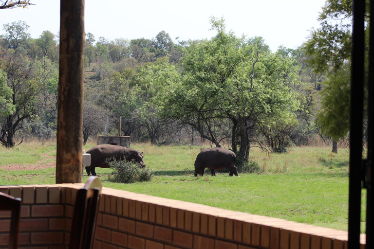 Others 2, Wilgeboomsdrift Safaris, Waterberg