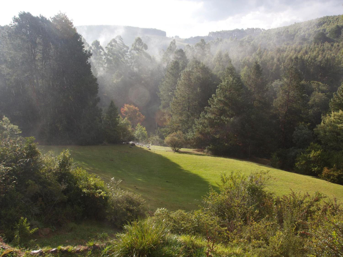 Others 5, Woodcroft, Umgungundlovu