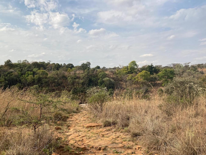Others 5, Amani Bush Escape, Bojanala