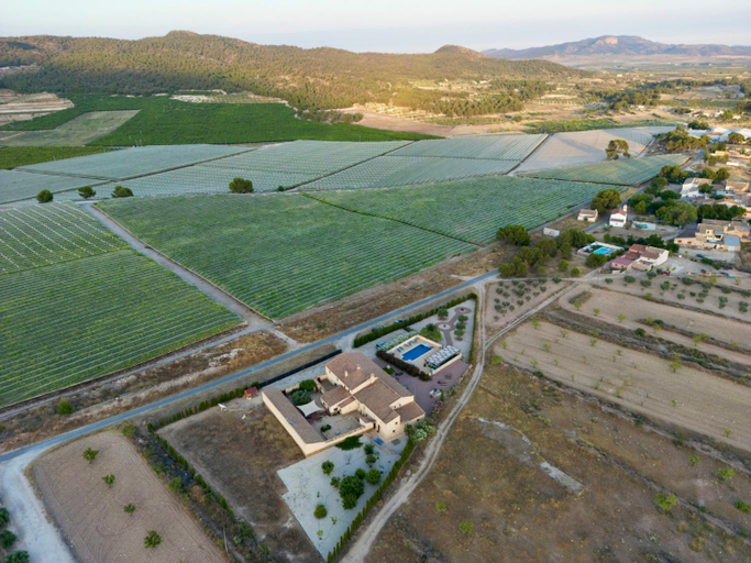 Others 4, Grapevine Manor, Alicante
