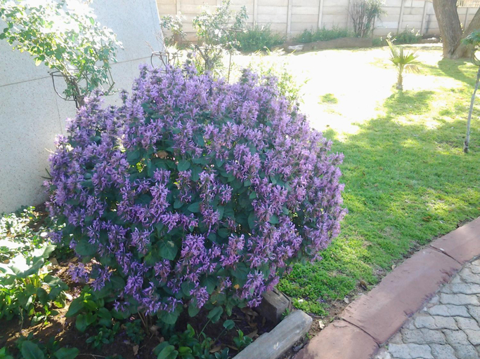Others 3, Lighthouse Guesthouse Welkom, Lejweleputswa