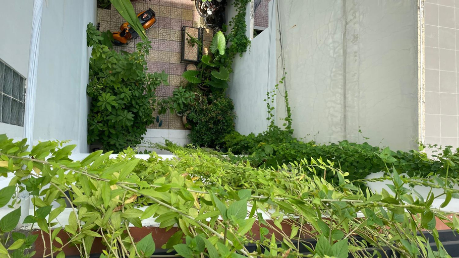 Others 5, Saigon - NOTRE Maison 5 in Thao Dien, Ho Chi Minh City
