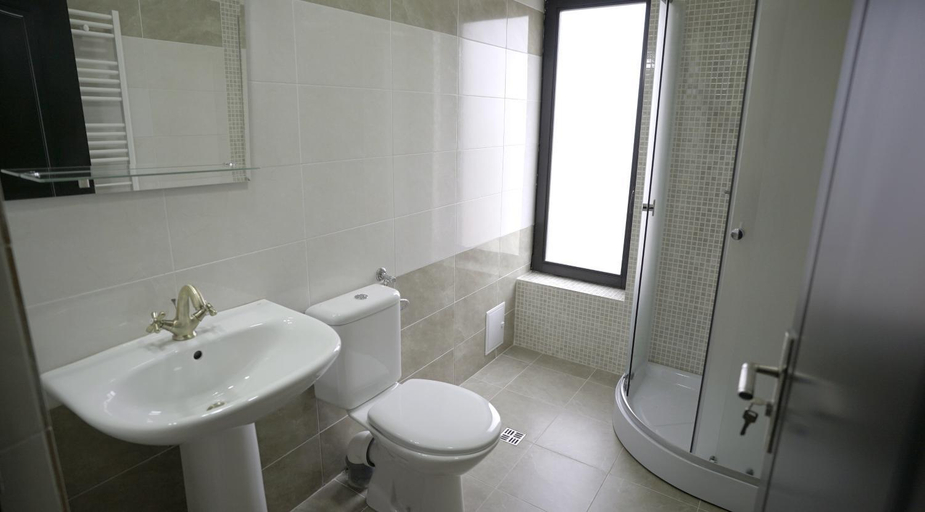Bathroom 3, Pensiunea Anastasia fosta Sofia, Remetea Mare