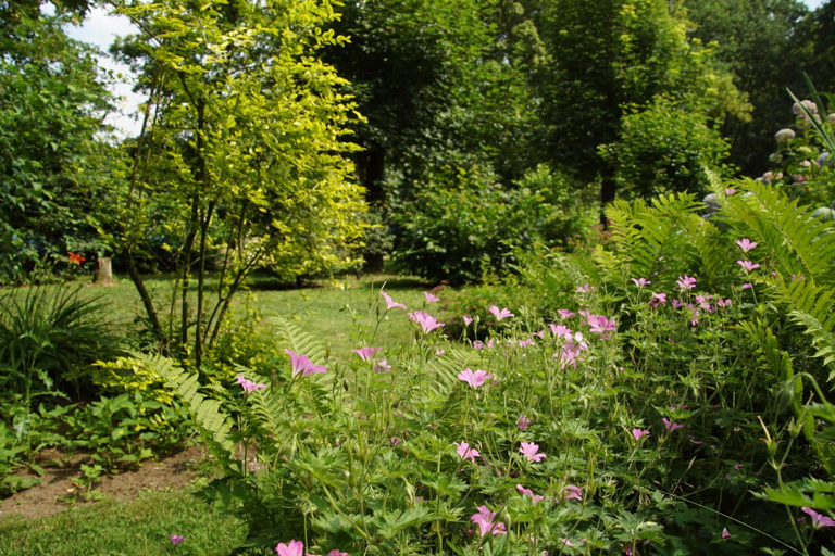 Others 5, Bed & Breakfast aan de Beek, Arcen en Velden
