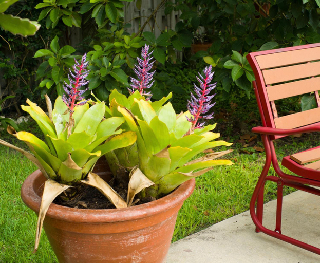 Others 2, Yuli's Home, Miami-Dade