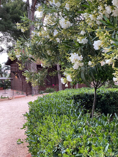 Others 4, Villa Rosemary, Trapani