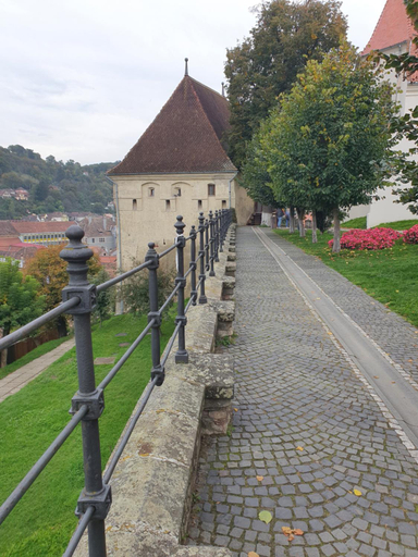 Others 4, Casa cu Cerdac, Sighisoara