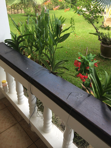 Others 3, Palm Gardens Resort, Bang Saphan, Bang Saphan