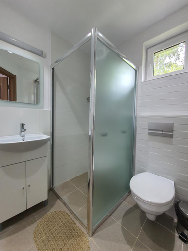 Bathroom 2, Pensiunea Stan, Cisnadie