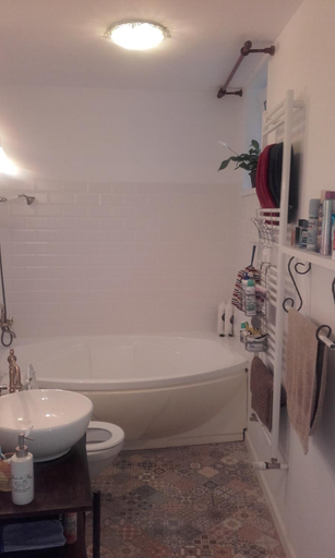 Bathroom 2, Casa Scheiana, Brasov