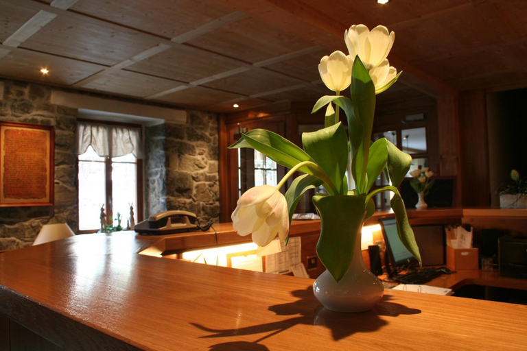 Public Area 2, Hotel Suisse, Monthey
