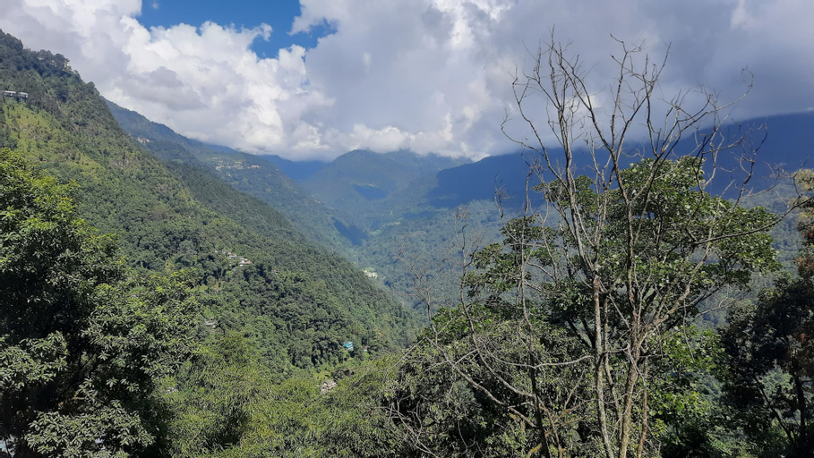 Scenery 5