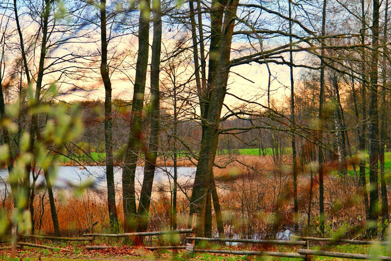 Others 4, Domek Zalesie, Olsztyn
