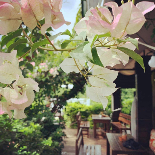 Kenting Nanwan Wandering Nomad Inn Exclusive Use., Pingtung