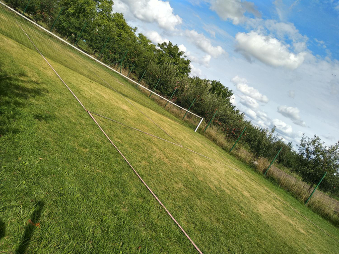 Others 4, Agroturystyka Lulkowo, Toruń