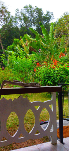 Others 5, Dan Zoranz Self Catering Guest House