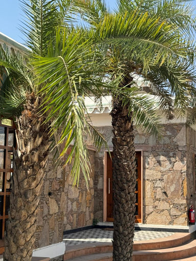 Exterior & Views 2, Ananda Resort Pushkar, Ajmer