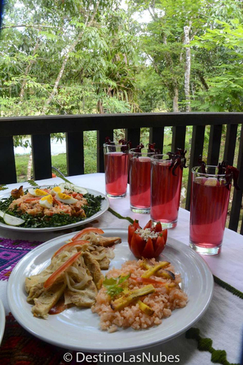 Food & Drinks