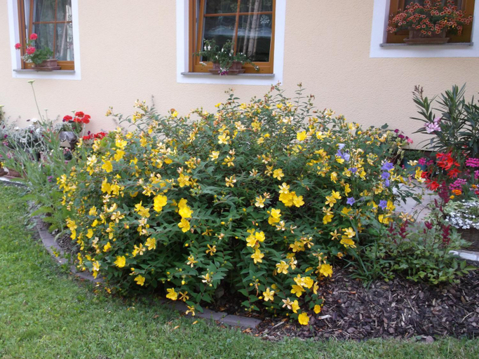 Others 5, Haus Margit, Kirchdorf an der Krems