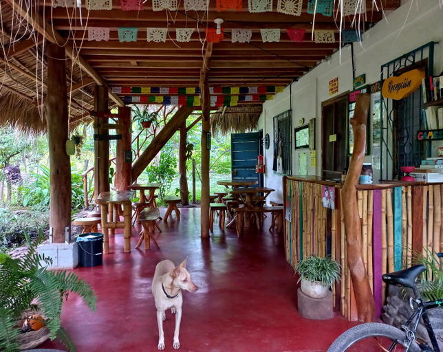 Others 3, La Urraca Loca Hostel, Lago de Nicaragua