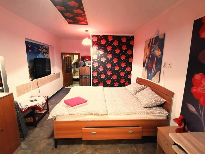 Others 4, Hostel Pascalis Alesd, Alesd