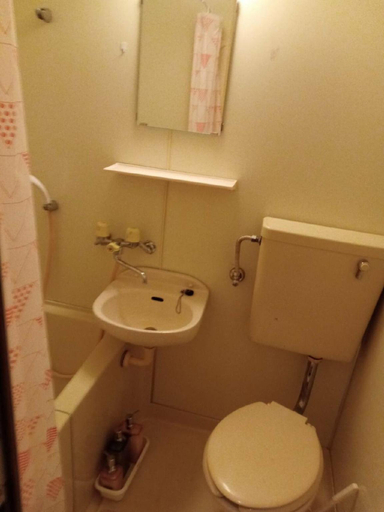 Bathroom 3, Ikeda Lifekan Hakuba Apartment 2 bed room, Hakuba