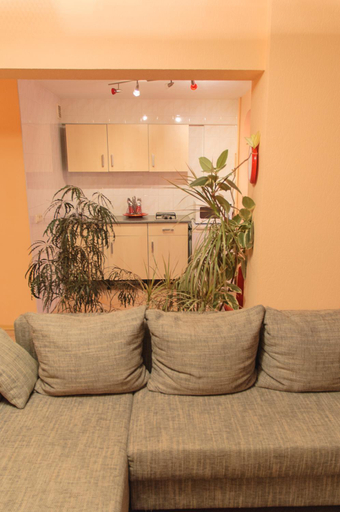 Others 3, Kiev Central Apartment, Holosiïvs'kyi