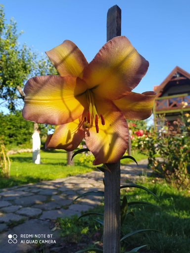 Others 4, Agroturystyka u Ani, Kętrzyn