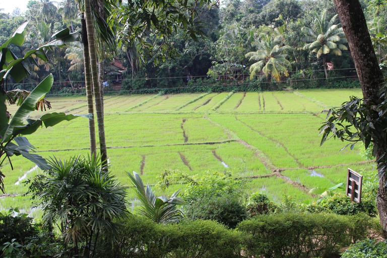 Others 5, Paddy Field Villa Midigama, Weligama