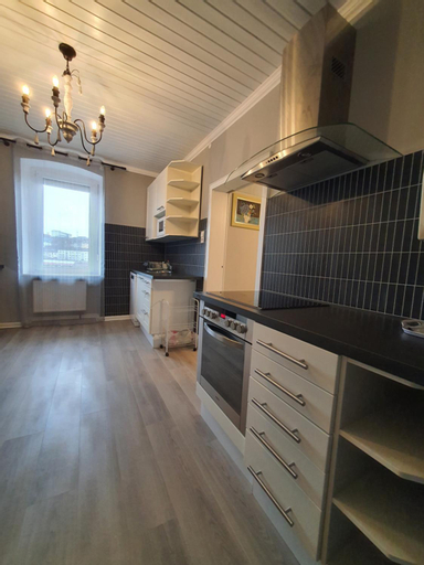 Others 4, Schwan16 - Ferienwohnung, Pirmasens
