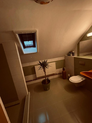 Bathroom 5, Casa Verde, Foieni