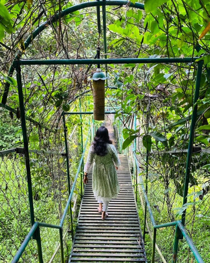 Others 5, Treehouse Wayanad, Wayanad