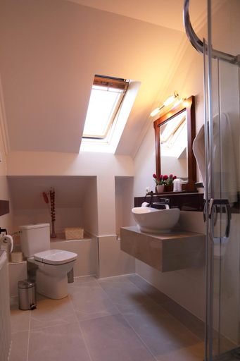 Bathroom 4, Pensiunea Trei Pini, Seini