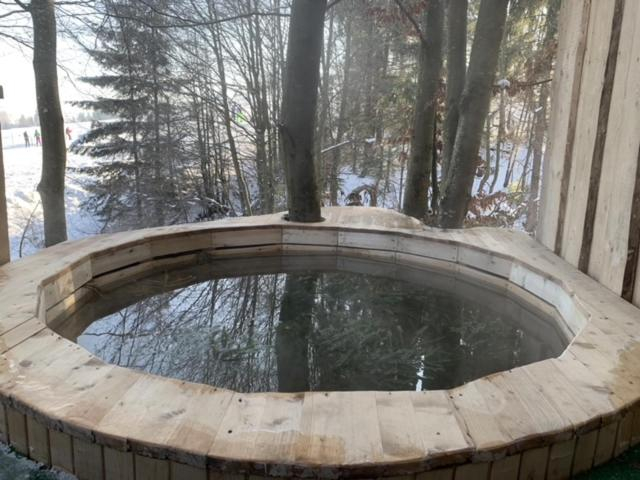 Sport & Beauty 4, Wood House, Mizhhirs'kyi
