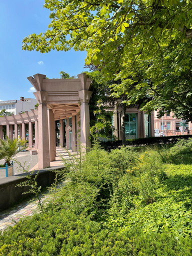 Stierpartment am Pfalzer Wald nahe Outlet Center Zweibrucken, Pirmasens