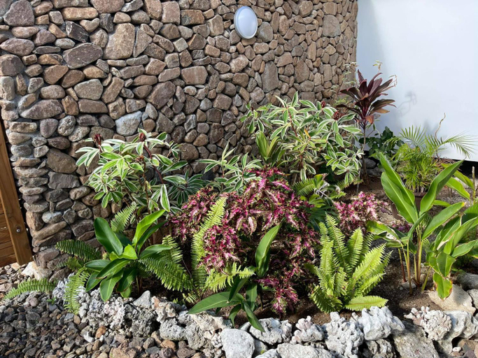 Others 3, Moorea Lodge