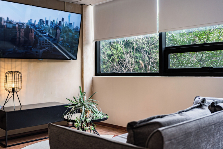Others 5, Cibeles Apartments by VH, Mexico City